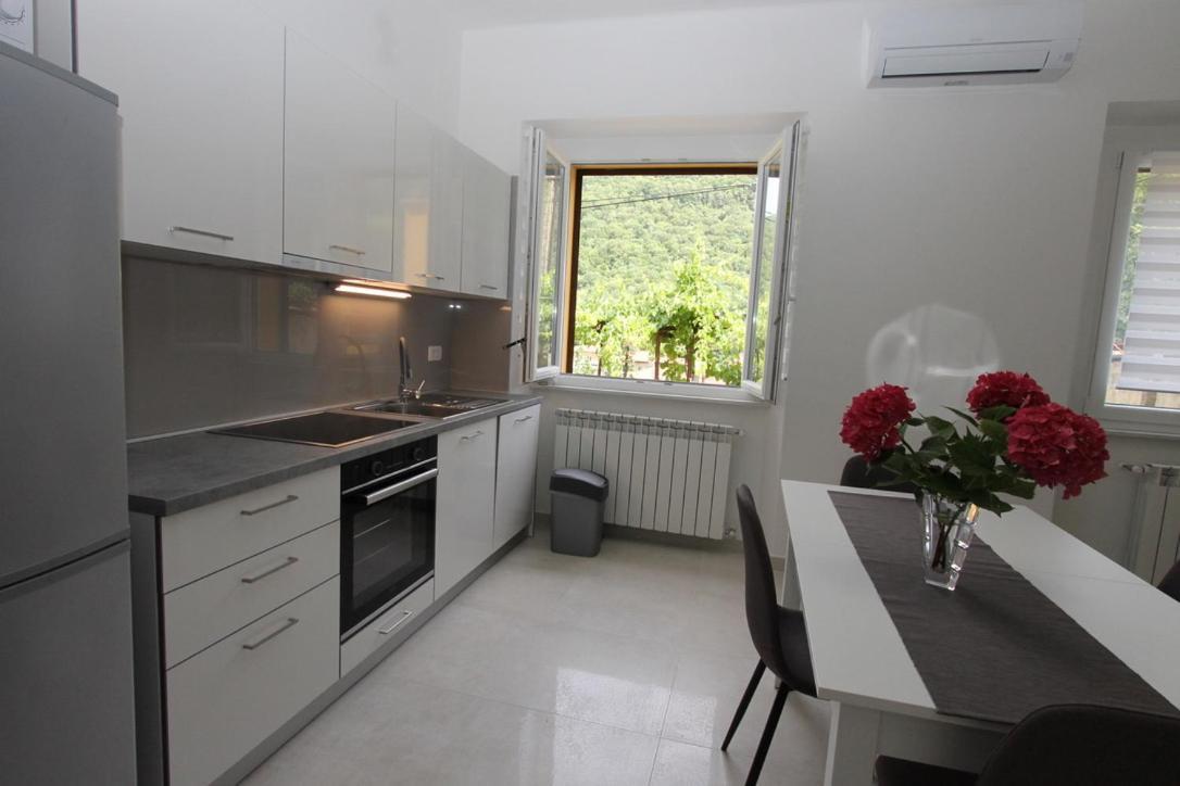 L Apartment Raša Buitenkant foto